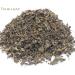 Tulsi Leaf and Green Tea Herbal Infusion (Ceylon Gunpowder - 25 Unbleached Tea Bags - 50g) Ceylon Gunpowder Green Tea - Buy Online on GoSupps.com