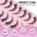 Poiuyoiu Clear Band Fluffy Lashes Kit with False Eyelashes Glue Bond and Remover Wispy Cat Eye Lashes 7 Pairs Fake Eyelashes Natural Look 3D Strip Lash Extensions Reusable Faux Mink Lashes M50-T - Buy Online on GoSupps.com