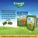 Emerald Pet Grain Free Catnip - Natural Dental Treats for Cats | 85g Catnip - International Shipping Available - Buy Online on GoSupps.com