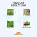 Organic Moringa Oleifera Leaf Powder 1kg - Premium Quality Bio Natural Pure NaturaleBio - Pack of 1 - Buy Online on GoSupps.com