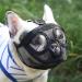BARKLESS French Bulldog Muzzle Short Snout Dog Muzzle with Breathable Mesh for Shih Tzu and Pug Mask Frenchie Muzzle for Biting Chewing Licking Ideal for Grooming Vet Visits (XS Black) Black XS