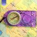 Camping Compass - Luminous Hiking Compass - Magnetic Survival Compass - Orienteering Compass Kids Camping Kit - Professional Compass Navigation Map Reading - BoyScout Compact Compass Magnetic Heading Purple - Buy Online on GoSupps.com
