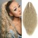 Ponytail extension ponytail braid corn wavy hair part hair extension hair piece hair with clip like real hair 24 (61cm) medium blonde 60 cm medium blonde