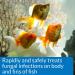PIMAFIX 16-Ounce Fish Remedy for Freshwater and Saltwater Aquariums - Buy Online on GoSupps.com