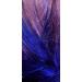 L'Oreal Paris Colorista Purple Temporary Hair Color Spray 2oz - Washable & 1-Day Wear - Buy Online on GoSupps.com