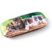 FEFI KITTEN Hardcase Glasses Case | Durable Microfiber Cover & Matching Cloth - Shop Now! - Buy Online on GoSupps.com