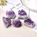 1PC Natural Amethyst Crystal Cluster Quartz Raw Crystals Stone Decoration Ornament Purple Feng Shui Stone Ore Stone Mineral Specimen - Buy Online on GoSupps.com