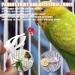 Budgie Food Holder 4PCS Stainless Steel Parrot Skewer Feeder and Plastic Bird Food Clips Set Bird Treats Fruit Stick Holder Clip Foraging Toy for Parrot Budgie Parakeet Cockatiel Cage - Buy Online on GoSupps.com