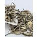 Premium Jasmine Tea Bags - Buy Online on GoSupps.com
