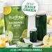 All About Juicing Chlorophyll Green Juice Shots - Clean Energy Detox Alkalize - 15 Stick Packs - 120 mg Superfood Juice Powder - PuriVibe 0.14 Ounce (Pack of 15) - Buy Online on GoSupps.com