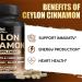 Ceylon Cinnamon Capsules with Berberine HCl Supplement - Panax Ginseng Apple Cider Vinegar Turmeric Curcumin - Support Immunity & Energy Production - 60 Capsules - 2 Month Supply - Buy Online on GoSupps.com