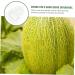 SUPVOX 9 pcs Gardening DIY Moldvegetable for Pear Shaped Multifunction Growing Accessories Mould - Buy Online on GoSupps.com