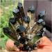 Natural Crystal Rough Crystals 1pc Black Phantom Quartz Crystal Cluster (Size : 700-750g) - Buy Online on GoSupps.com
