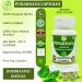Morsan Healthcare Punarnava Capsules (Boerhaavia Diffusa) 500mg 60 Veg Capsules | Herbal Wellness Supplement for Natural Kidney & Liver Support | Plant-Based Detox & Cleansing Formula | Pack of 2 - Buy Online on GoSupps.com