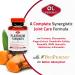 Olympian Labs Platinum Turmeric Formulated with Glucosamine Chrondroitin MSM & BioPerine for Maximum Joint Health 60 Capsules - Buy Online on GoSupps.com