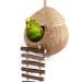 andwe Coconut Bird Nest Hut with Ladder for Parrots Parakeet Conures Cockatiel - Small Animals House Pet Cage Habitats Decor