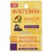 Burt's Bees Lip Balm Twin Pack Mango Butter Acai Berry - 0.3 oz