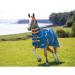Shires Tempest Original Lite Turnout Rug & Neck - Teal Teal 6ft0 - Buy Online on GoSupps.com
