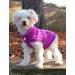 NTS Pets Small Dog Jumper | Cosy Turtleneck Puppy Jumper for Small Dogs | Purple Medium | 5 Colours, 3 Sizes - Buy Online on GoSupps.com