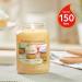 Yankee Candle Vanilla Cupcake & Lemon Lavender Bundle | 150-Hour Great Jar Fragrance Candles | International Shipping - Buy Online on GoSupps.com