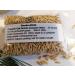 Hundredfold Organic Oat Avena Sativa Seeds 1 oz ( 600 PC) - Non-GMO Oatgrass Catgrass Cat Grass for Cats Kittens & Pets - Buy Online on GoSupps.com