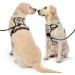 NESTROD Medium Dog Harness - Checkered Beige Anti-Drawing Safety Belt for Dogs - Size M (Neck 33-43cm Chest 43-64cm) - Buy Online on GoSupps.com