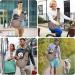 Cuby Dog & Cat Carrier Bag - Adjustable Straps Zip Pocket Small Dog Travel Bag (Gray Push Button Coffee Brown) - Buy Online on GoSupps.com