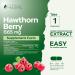 Purely Holistic Hawthorn Berry 665mg + Magnesium Glycinate 400mg + 150 Capsules & 270 Tablets - Vegan Bundle - Made in The USA - Buy Online on GoSupps.com