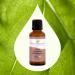 Buy Plant Therapy Copaiba Oleoresin Organic Essential Oil - 100% Pure Undiluted Therapeutic Grade - 30 mL | International Shipping Available - Buy Online on GoSupps.com