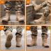 QUNLON 8 Inch Lightweight Tactical Boots for Men - Durable Military Combat Boots with Side Zipper and Non-slip Sole - Breathable Army Work Boots in Sand (Size 7.5) - Buy Online on GoSupps.com