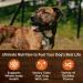 Wellness CORE Grain-Free Canned Dog Food - Whitefish, Salmon & Herring, 12.5 oz (Pack of 12) - Buy Online on GoSupps.com