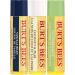 Burt's Bees Moisturizing Lip Balm for Dry Chapped Lips 100% Natural Origin Assorted Flavours with Fruit Extracts 3 Tubes 4.25 g Super Fruit - Buy Online on GoSupps.com