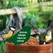 Premium Panto Mealworms 900g - High Protein Wild Bird Feed Ideal for Birds Rodents Hedgehogs & Poultry - Buy Online on GoSupps.com