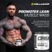 Cellucor Pre Workout & Creatine Bundle C4 Original Pre Workout Powder Frozen Bombsicle 30 Servings + Cor Performance Creatine Powder 72 Servings Frozen Bombsicle + Creatine Bundle Strength Bundle - Buy Online on GoSupps.com