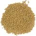 Organic Soya Beans No Additives No Preservatives Raw High Fibre High Protein Vegan GMO-Free - Perfect for Plant-Based Recipes - Thames Organic 500g 500 g (Pack of 1) - Buy Online on GoSupps.com