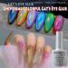 8ML Universal Colorful Cat's Eye Glue Glossy Colorful Cat Eye Soak-Off UV Aurora Nail Gel Varnish Nail Art Shining Manicure - (Color: 01) - Buy Online on GoSupps.com