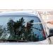 DSV Professional Window Squeegee | 2-in-1 Cleaner with Sponge & Rubber Strip | Telescopic Pole | 127.5cm Extension | Multi-Angle Cleaning - Buy Online on GoSupps.com