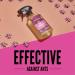 Aunt Fannie's Ant Remedy Spray - 16.9 fl oz Direct Formula for Effective Ant Control - Buy Online on GoSupps.com
