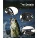 Gugxiom 9/10 Fly Fishing Reel - 2+1 Storage Left-Right Compensation Perfect for Streams Rivers & Lakes - Buy Online on GoSupps.com