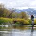 Balanced Leech Fly Collection - Size 8, Set of 6 - 2 Colors - Bead Head Jig Lake Streamer Wet Flies - Buy Online on GoSupps.com