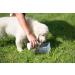 SONNENMOOR Liquid Moor for Dogs 500ml Natural Support for Pets | International Shipping Available - Buy Online on GoSupps.com