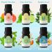 ASAKUKI Summer Vibe Essential Oil Gift Set - Blue Hawaii, Mojito, Grand Neroli, and More - 6x10ml Premium Fragrance Oils for Diffusers - Buy Online on GoSupps.com