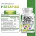 Immune Support & Digestive Health Supplement with Oregano Oil, Garlic Extract, Olive Leaf, Black Seed Oil, Vitamin D3, and Zinc - 60 Caps - USA Made - Buy Online on GoSupps.com