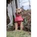 Rukka Pets HAYTON WARM Raincoat for Dogs - Carmine Red 30 | Stylish & Waterproof Dog Rain Gear - Buy Online on GoSupps.com