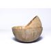 Sri Care Natural Coconut Shell Bowl Halves for Handicraft, Pet Feeder, Candle Making, Christmas & Halloween Decor - 1 Piece (No Fiber) - Buy Online on GoSupps.com