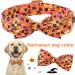 Aring Pet Halloween Dog Halison - Adjustable Cotton Neck Strap for All Dog Sizes - Sweet Orange Festival Band with Bow - Perfect for Halloween - Buy Online on GoSupps.com
