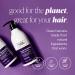 Herbalosophy Purple Shampoo & Conditioner Set - Toning for Blonde Gray Hair, Eliminates Brassiness, Coconut Oil Infused, Sulfate & Paraben Free - Buy Online on GoSupps.com