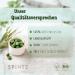 Spintz 1000 Pcs Vegan Chlorella Tablets 500mg | Bio Pressed Plastic-Free & Sustainably Packaged | 100% Organic Cultivation - Buy Online on GoSupps.com