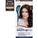 Clairol Root Touch-Up Permanent Hair Dye 4A Dark Ash Brown - 1 Count - Buy Online on GoSupps.com