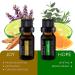 Pure Daily Care Top 10 Essential Oil Synergy Blend Set - 10x10mL Therapeutic Grade Oils for Mind, Body, and Spirit Upliftment - No Fillers or Additives - Buy Online on GoSupps.com